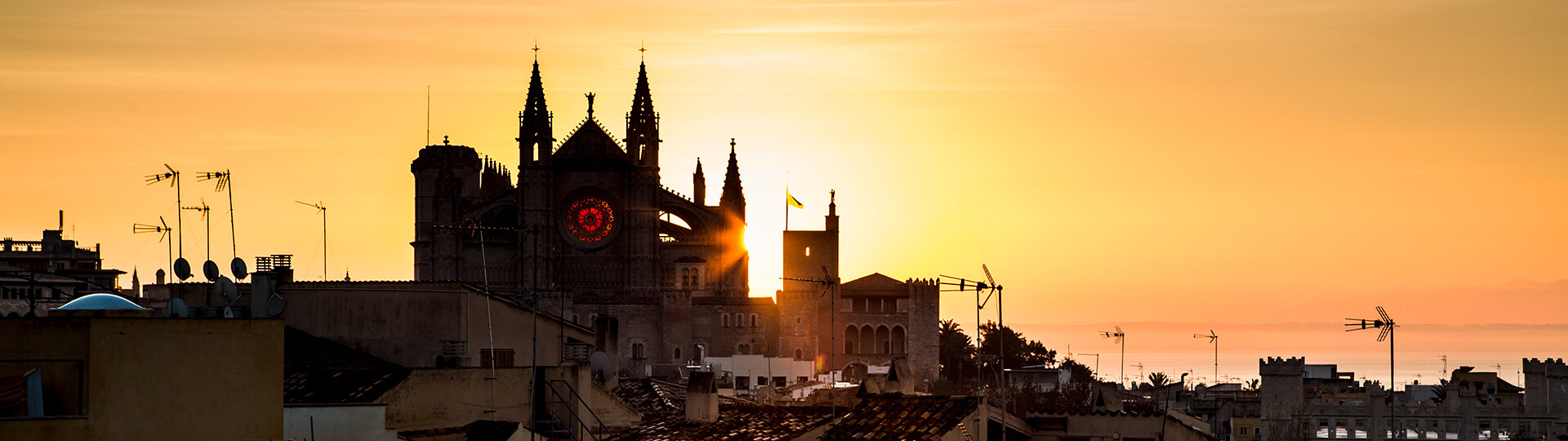 Catedral de Palma al atardecer