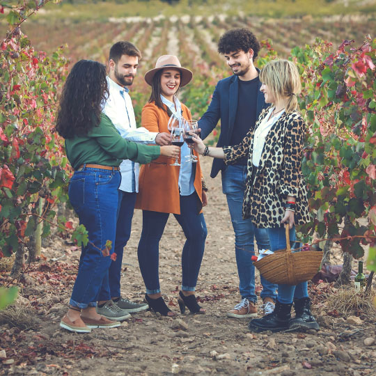 Touristes dans un vignoble sur la route du vin d'Alicante