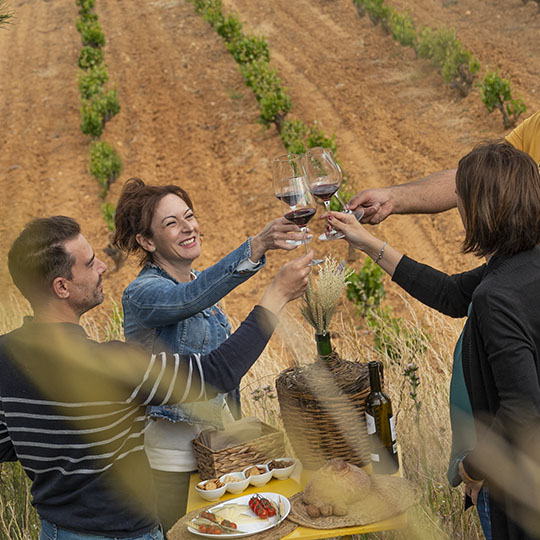 Vins de la route du vin de Toro