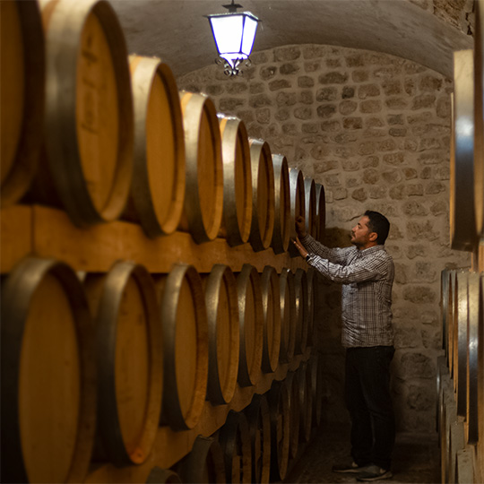 Cantina. Itinerario enoturistico del Cigales