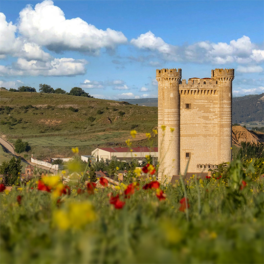 Castello di Fuensaldaña, Cigales (Valladolid)