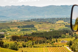 Paesaggio dell'Itinerario enoturistico del Bierzo - Bierzoenoturismo