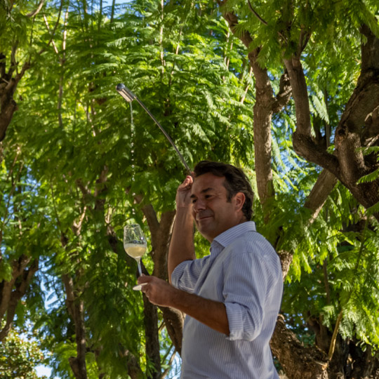 Oxygénation du vin - Route du vin et du brandy du Marco de Jerez
