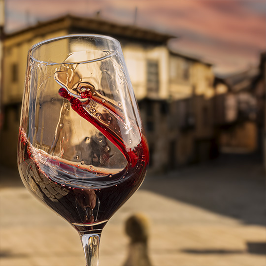 A glass of wine. Ribera del Duero wine route