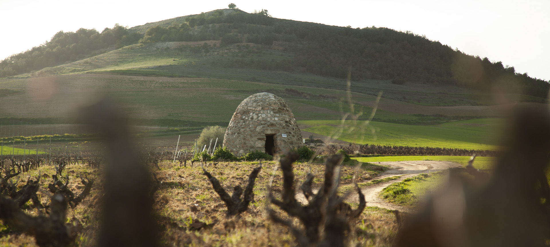 'Guardaviñas' (typical shelter in the Rioja area). Ribera del Duero wine route