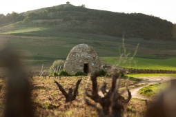 « Guardaviñas ». Route du vin Ribera del Duero