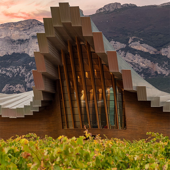 Bodegas Ysios. Route du vin Rioja Alavesa