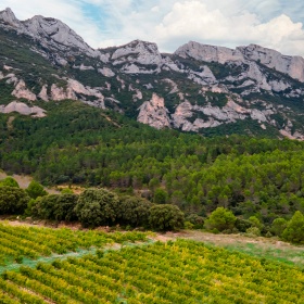 Landscape on the Rioja Alavesa Wine Route