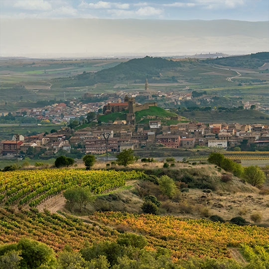 Landschaft entlang der Weinstraße Rioja Alta