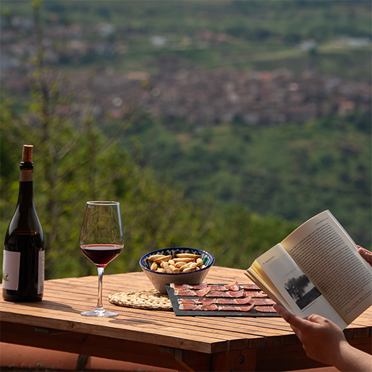 Scene of someone reading with a glass of wine and some tapas. Sierra de Francia wine route