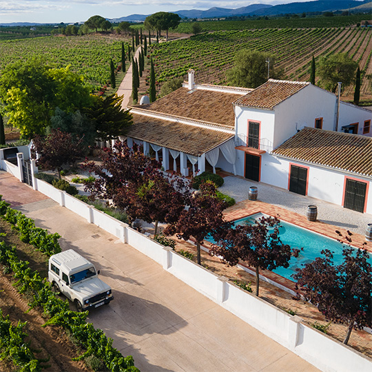 Vineyard on a country estate, Utiel-Requena wine route