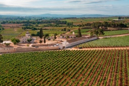 Itinerario enoturistico Utiel-Requena