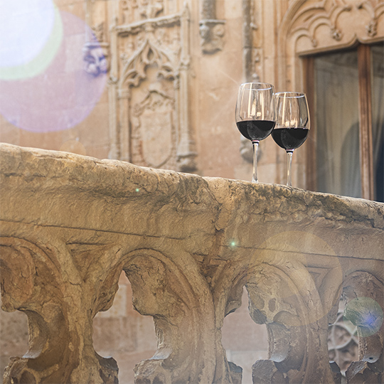 Taças de vinho em um entorno monumental. Rota do Vinho de Zamora
