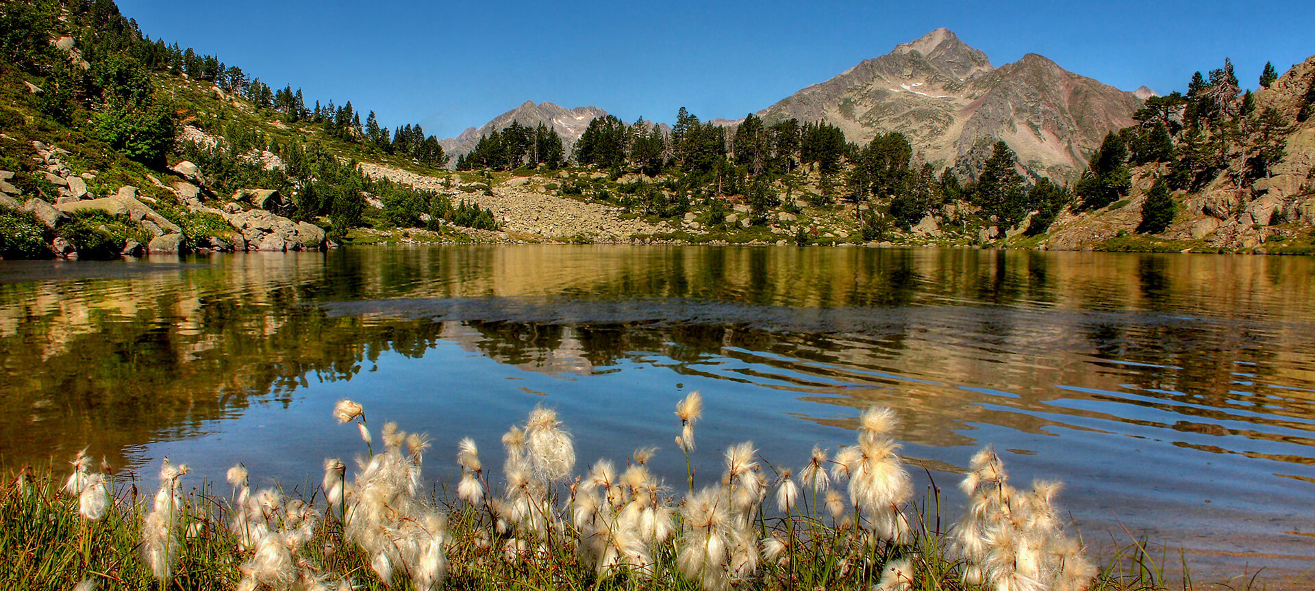 Parc national d'Aigüestortes i Estany de Sant Maurici