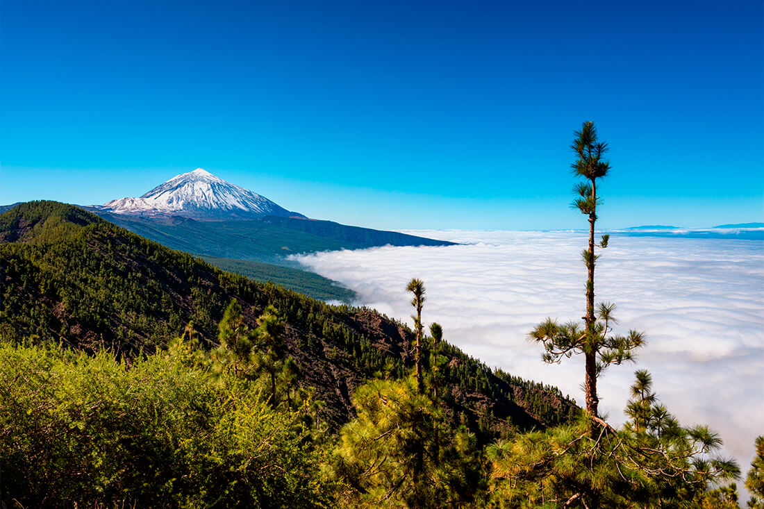 El Teide