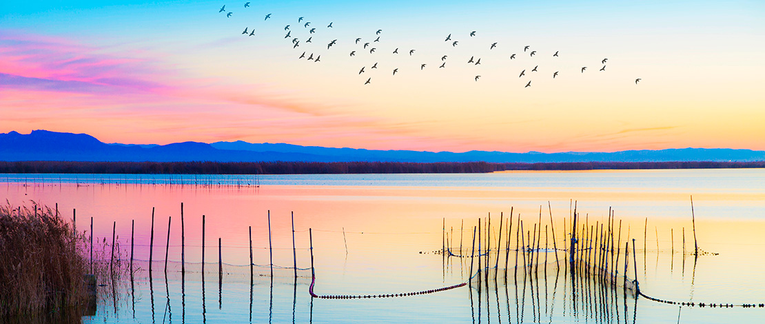 Parco naturale dell’Albufera