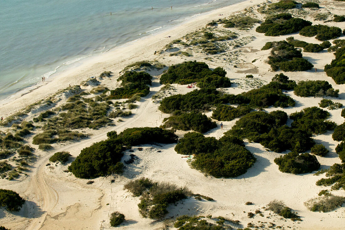 エス トレンク ビーチ