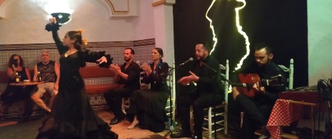 Spektakl flamenco w El Burro Blanco w Nerja w Maladze, Andaluzja Spektakl flamenco w El Burro Blanco w Nerja w Maladze, Andaluzja
