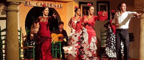 Detal spektaklu flamenco w El Cardenal w Kordobie Detal spektaklu flamenco w El Cardenal w Kordobie