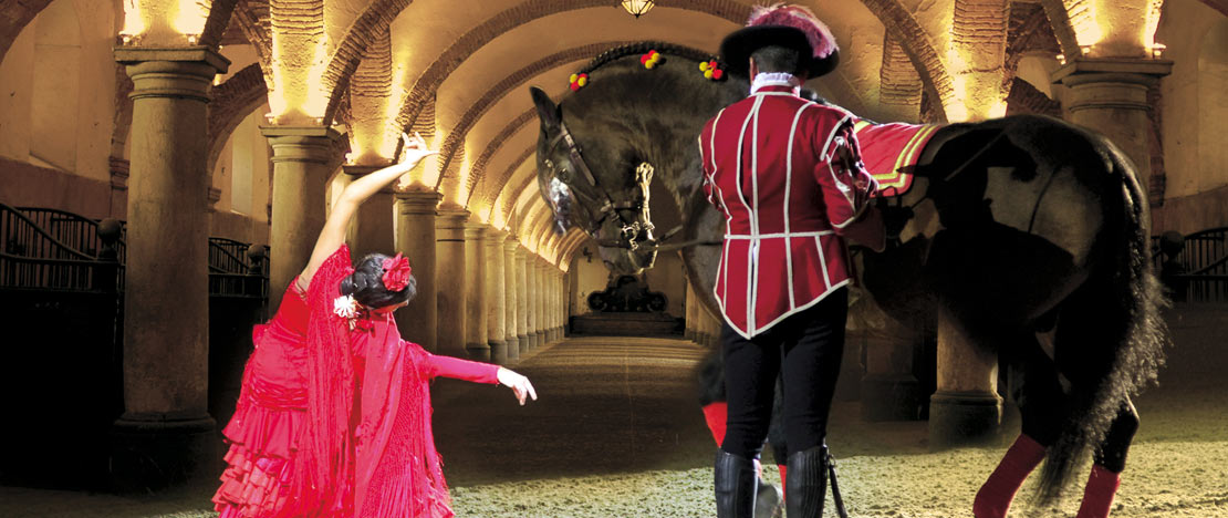 Equestrian show, Passion and Spirit of the Andalusian Horse Equestrian show, Passion and Spirit of the Andalusian Horse