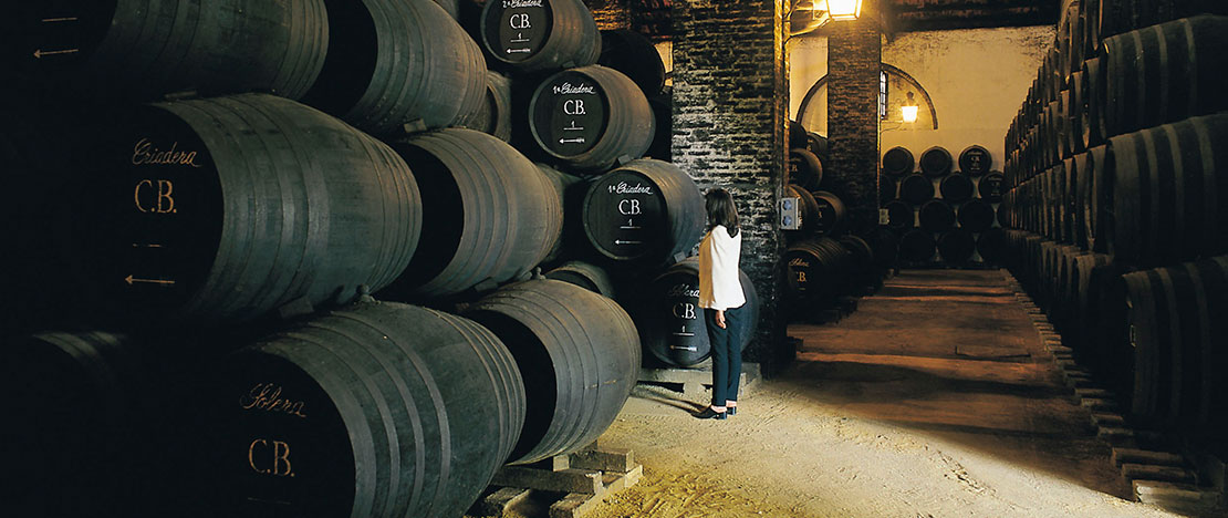 Winery in Montilla, Andalusia