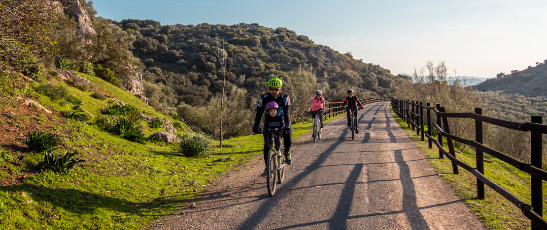 People enjoying cycle tourism on the Olive Oil Greenway in Jaen, Andalusia People enjoying cycle tourism on the Olive Oil Greenway in Jaen, Andalusia