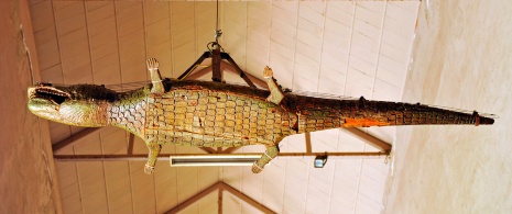 Detail of the crocodile in the Nave del Lagarto in Seville Cathedral Detail of the crocodile in the Nave del Lagarto in Seville Cathedral