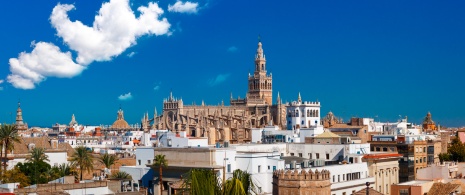 Ansicht der Kathedrale von Sevilla und La Giralda in Sevilla, Andalusien Ansicht der Kathedrale von Sevilla und La Giralda in Sevilla, Andalusien