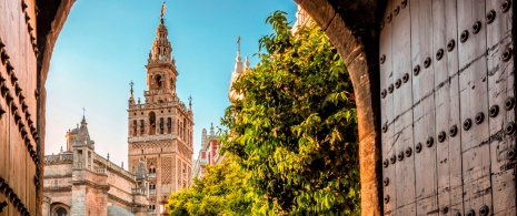 View of La Giralda tower in Seville View of La Giralda tower in Seville