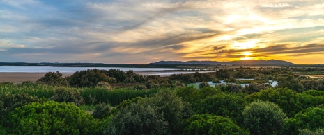 View of the Fuente de Piedra Lagoon in Malaga, Andalusia View of the Fuente de Piedra Lagoon in Malaga, Andalusia