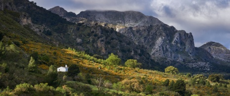 View of the mountains of Sierra de las Nieves National Park in Malaga, Andalusia View of the mountains of Sierra de las Nieves National Park in Malaga, Andalusia