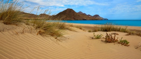 Widok na wydmy w obszarze chronionego krajobrazu Cabo de Gata-Níjar w prowincji Almería w Andaluzji Widok na wydmy w obszarze chronionego krajobrazu Cabo de Gata-Níjar w prowincji Almería w Andaluzji