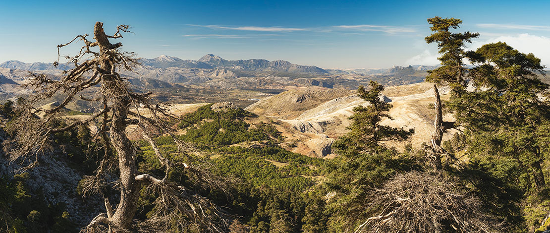 Sierra de las Nieves National Park, Andalusia Sierra de las Nieves National Park, Andalusia