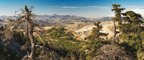 Sierra de las Nieves National Park, Andalusia Sierra de las Nieves National Park, Andalusia