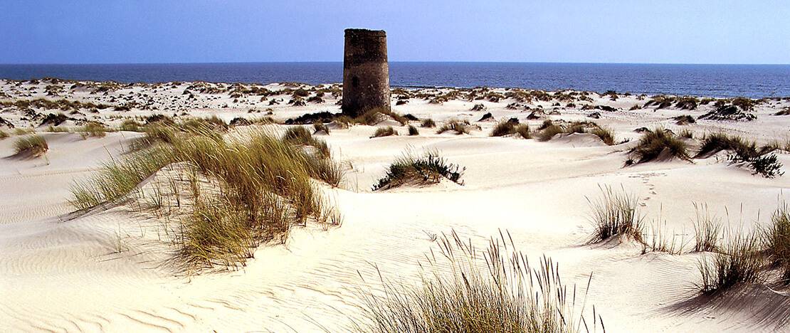 Nationalpark Doñana