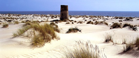 Nationalpark Doñana Nationalpark Doñana