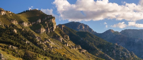 Widok Parku Narodowego Sierra de las Nieves w Maladze, Andaluzja Widok Parku Narodowego Sierra de las Nieves w Maladze, Andaluzja
