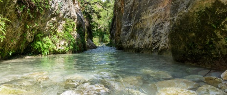 Itinerario escursionistico sul fiume Chillar. Nerja Itinerario escursionistico sul fiume Chillar. Nerja