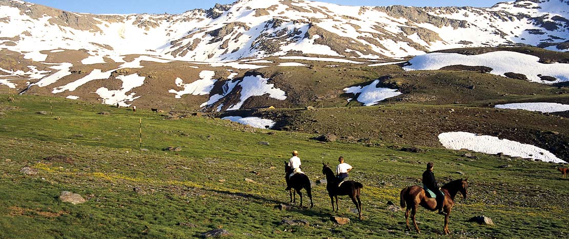 Horse-riding tourism in the Sierra Nevada National Park, Granada (Andalusia) Horse-riding tourism in the Sierra Nevada National Park, Granada (Andalusia)