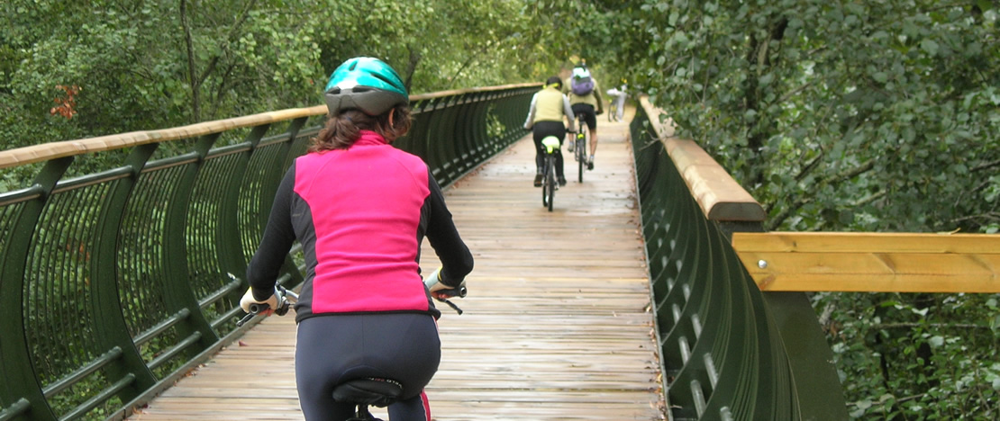 Cyclists on the Sierra Greenway
