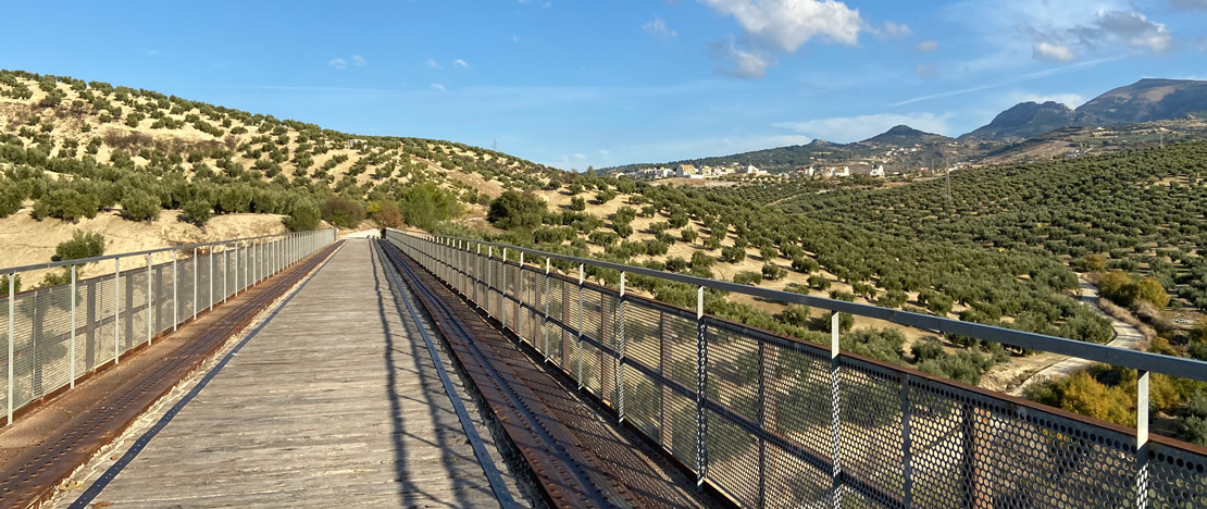 Torredelcampo oil greenway