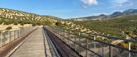 Torredelcampo oil greenway Torredelcampo oil greenway
