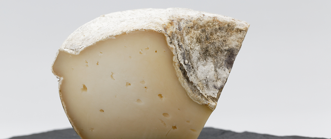 Fromage de Tronchón typique du Maestrazgo Fromage de Tronchón typique du Maestrazgo