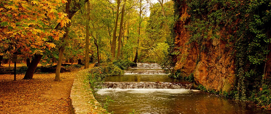 Naturaleza en el Monasterio de Piedra