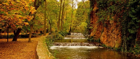 Naturaleza en el Monasterio de Piedra Naturaleza en el Monasterio de Piedra