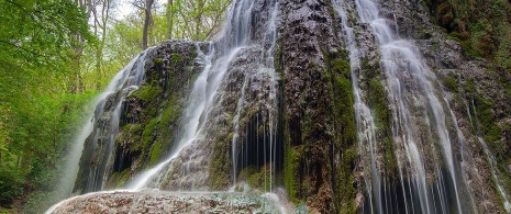 Monasterio de Piedra Monasterio de Piedra