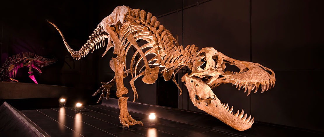 Tyrannosaurus rex a Dinópolis, Teruel, Aragona