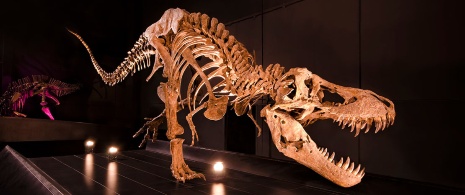 Tyrannosaurus rex a Dinópolis, Teruel, Aragona Tyrannosaurus rex a Dinópolis, Teruel, Aragona
