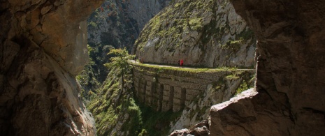 Odcinek szlaku Cares w Parku Narodowym Picos de Europa w Asturii. Odcinek szlaku Cares w Parku Narodowym Picos de Europa w Asturii.
