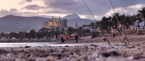 Praia de Palma, em Palma de Maiorca Praia de Palma, em Palma de Maiorca